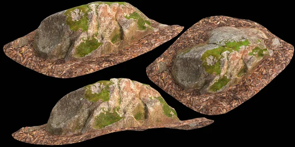 Siyah Arka Planda Kuru Yapraklara Sabitlenmiş Yosun Kaplı Kayaların Boyutlu — Stok fotoğraf