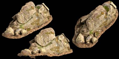 Siyah arka planda kuru yapraklara sabitlenmiş yosun kaplı kayaların üç boyutlu çizimi