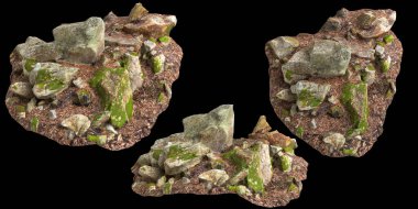 Siyah arka planda kuru yapraklara sabitlenmiş yosun kaplı kayaların üç boyutlu çizimi