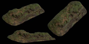 Zeminin 3 boyutlu çizimi, siyah arkaplanda kuru yosun örtüsü