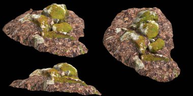 Siyah arka planda kuru yapraklara sabitlenmiş yosun kaplı kayaların üç boyutlu çizimi