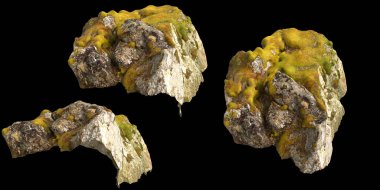 Siyah arka planda yosun kaplı kayaların yosun rafına yerleştirilmiş 3D çizimi