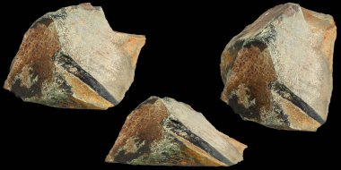 Siyah zemin üzerinde izole edilmiş tek taşların 3D çizimi