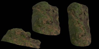 Zeminin 3 boyutlu çizimi, siyah arkaplanda kuru yosun örtüsü