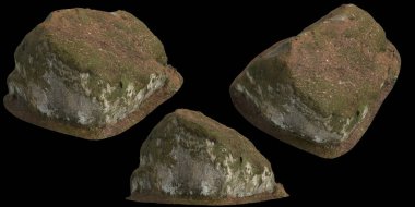 Siyah arka planda yosun kaplı kayaların yosun rafına yerleştirilmiş 3D çizimi