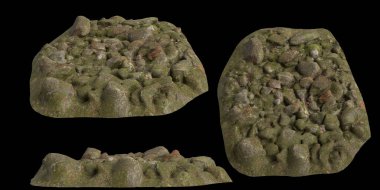 Siyah arka planda yosun kaplı kayaların yosun rafına yerleştirilmiş 3D çizimi