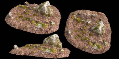 Siyah arka planda kuru yapraklara sabitlenmiş yosun kaplı kayaların üç boyutlu çizimi