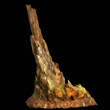 Kuru ağaç kütüğünün siyah arkaplanda izole edilmiş 3d çizimi
