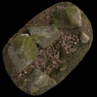 Yosun kaplı kayaların 3D çizimi, siyah arkaplan görünümünde yosun rafına yerleştirilmiş.