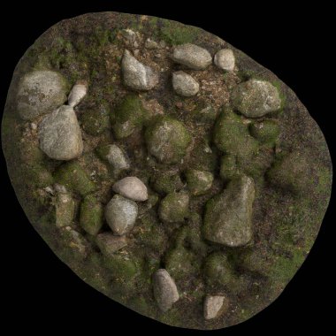 Yosun kaplı kayaların 3D çizimi, siyah arkaplan görünümünde yosun rafına yerleştirilmiş.