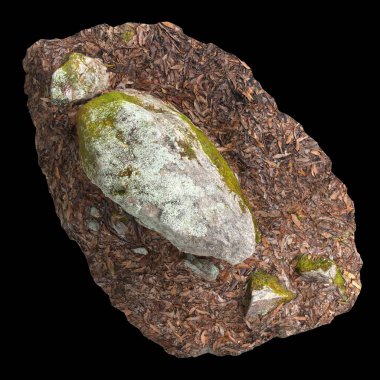 Siyah arka planda kuru yapraklara sabitlenmiş yosun kaplı kayaların üç boyutlu çizimi