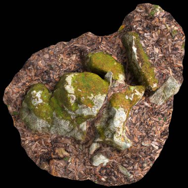 Siyah arka planda kuru yapraklara sabitlenmiş yosun kaplı kayaların üç boyutlu çizimi