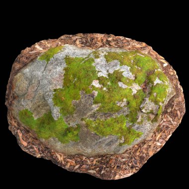 Siyah arka planda kuru yapraklara sabitlenmiş yosun kaplı kayaların üç boyutlu çizimi