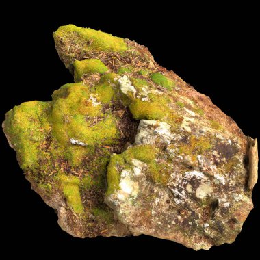 Yosun kaplı kayaların 3D çizimi, siyah arkaplan görünümünde yosun rafına yerleştirilmiş.