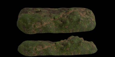 Zeminin 3 boyutlu çizimi, siyah arkaplanda kuru yosun örtüsü