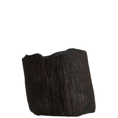 Yanmış günlüğün beyaz arkaplanda izole edilmiş 3d çizimi