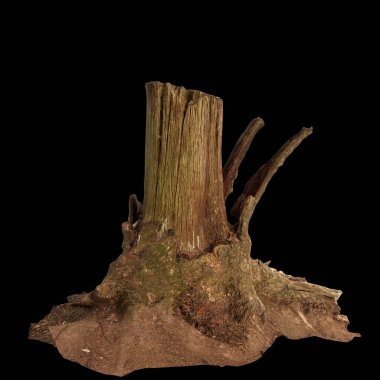 Kuru ağaç kütüğünün siyah arkaplanda izole edilmiş 3d çizimi