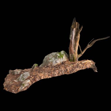 Kuru ağaç kütüğünün siyah arkaplanda izole edilmiş 3d çizimi