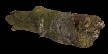 Kuru ağaç kütüğünün siyah arkaplanda izole edilmiş 3d çizimi