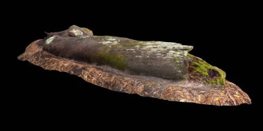 Kuru ağaç kütüğünün siyah arkaplanda izole edilmiş 3d çizimi