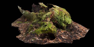 Kuru ağaç kütüğünün siyah arkaplanda izole edilmiş 3d çizimi