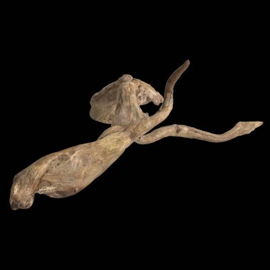 Kuru ağaç kütüğünün siyah arkaplanda izole edilmiş 3d çizimi