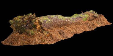 Kuru ağaç kütüğünün siyah arkaplanda izole edilmiş 3d çizimi