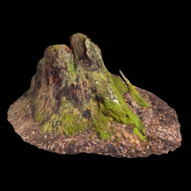 Kuru ağaç kütüğünün siyah arkaplanda izole edilmiş 3d çizimi