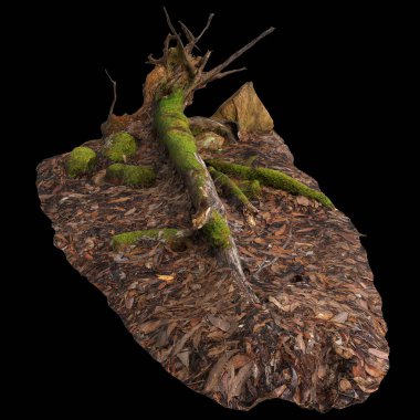 Kuru ağaç kütüğünün siyah arkaplanda izole edilmiş 3d çizimi