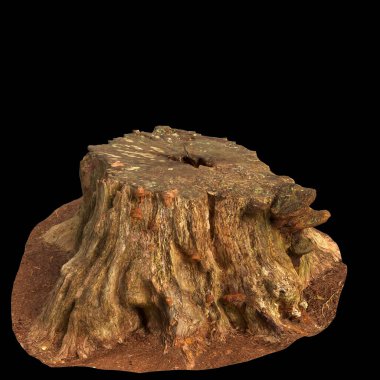 Kuru ağaç kütüğünün siyah arkaplanda izole edilmiş 3d çizimi