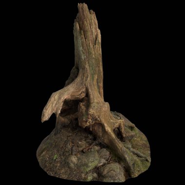 Kuru ağaç kütüğünün siyah arkaplanda izole edilmiş 3d çizimi