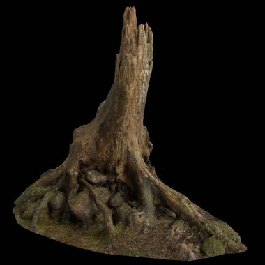 Kuru ağaç kütüğünün siyah arkaplanda izole edilmiş 3d çizimi