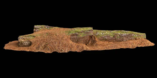 stock image 3d illustration of dry wood covered moss isolated on black background