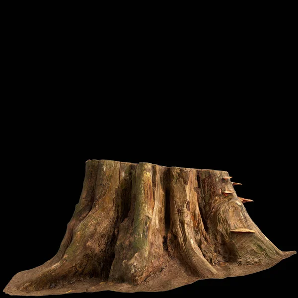 Illustration Dry Tree Stump Isolated Black Background — Stock Photo, Image