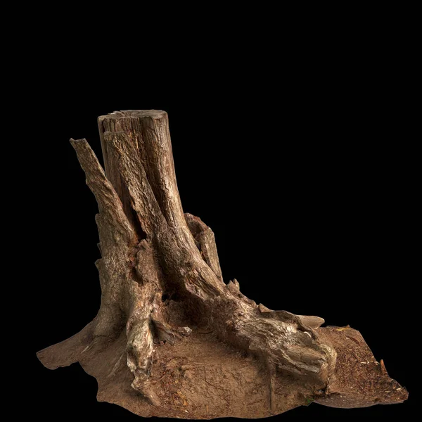 stock image 3d illustration of dry tree stump isolated on black background