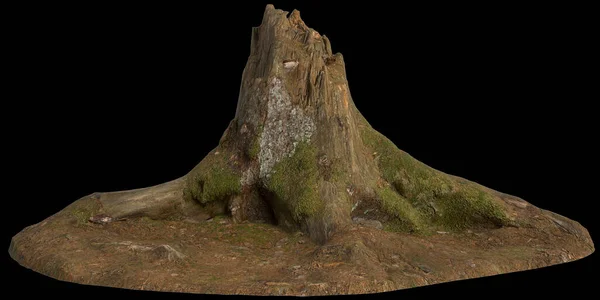 stock image 3d illustration of dry tree stump isolated on black background