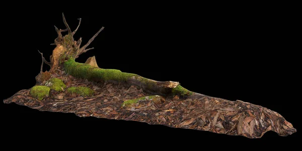 Иллюстрация Сухой Пень Дерева Изолированы Черном Фоне — стоковое фото
