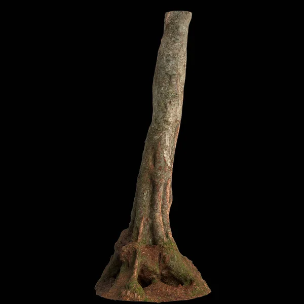 stock image 3d illustration of trunk isolated on black background