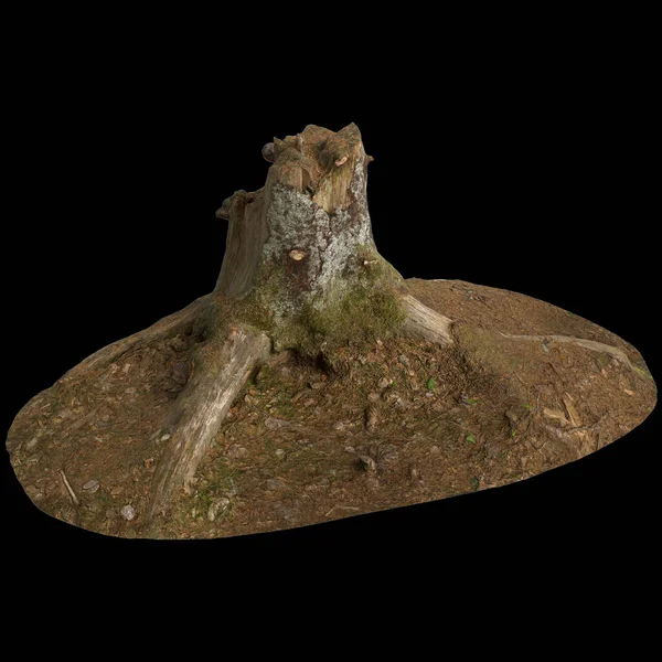 Stock image 3d illustration of dry tree stump isolated on black background