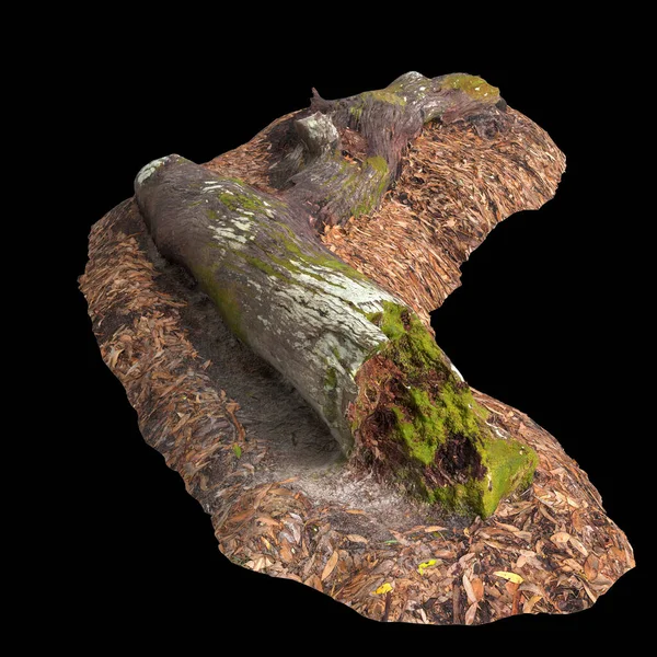 stock image 3d illustration of dry tree stump isolated on black background