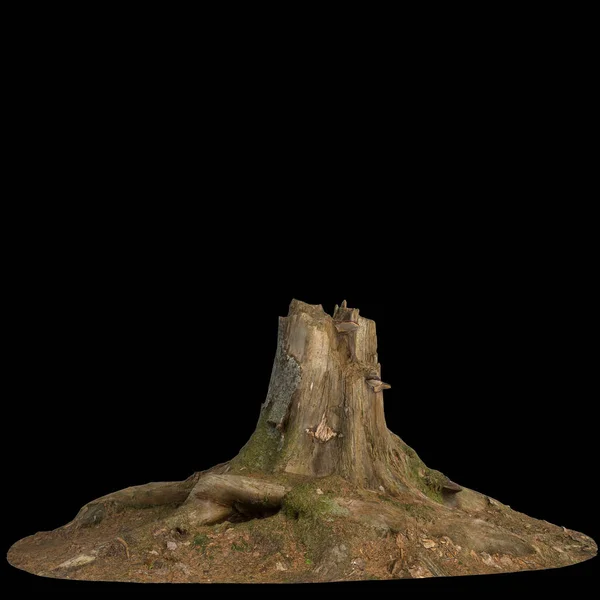 在黑色背景上隔离的干树桩3D示例 免版税图库照片