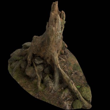 Kuru ağaç kütüğünün siyah arkaplanda izole edilmiş 3d çizimi