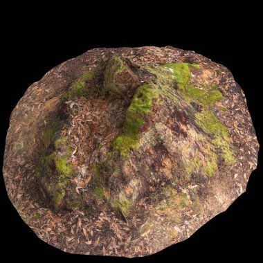 Kuru ağaç kütüğünün siyah arkaplanda izole edilmiş 3d çizimi