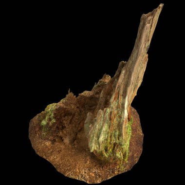 Kuru ağaç kütüğünün siyah arkaplanda izole edilmiş 3d çizimi