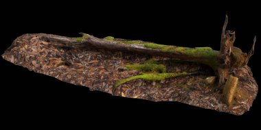 Kuru ağaç kütüğünün siyah arkaplanda izole edilmiş 3d çizimi