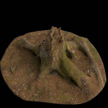 Kuru ağaç kütüğünün siyah arkaplanda izole edilmiş 3d çizimi