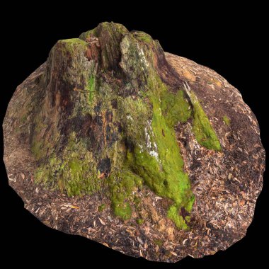 Kuru ağaç kütüğünün siyah arkaplanda izole edilmiş 3d çizimi