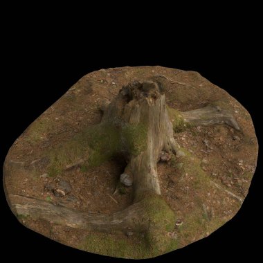 Kuru ağaç kütüğünün siyah arkaplanda izole edilmiş 3d çizimi