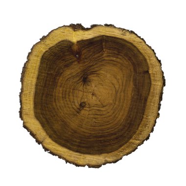 Çapraz kesilmiş ahşabın beyaz arkaplan görünümünde üç boyutlu çizimi