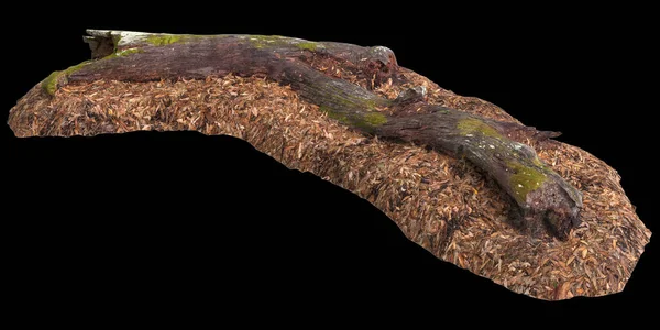 Illustration Dry Tree Stump Isolated Black Background — Stock Photo, Image